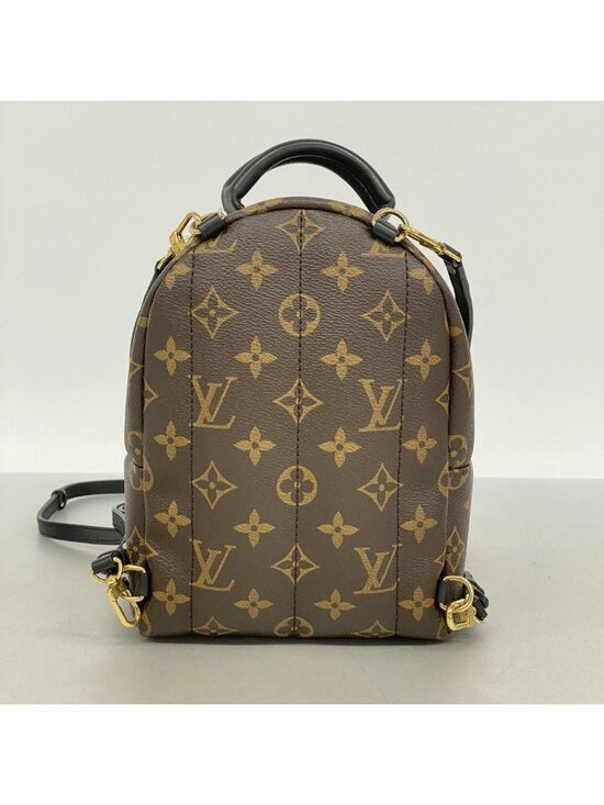 Louis Vuitton Backpack Monogram Palm Springs Mini Brown main image 6